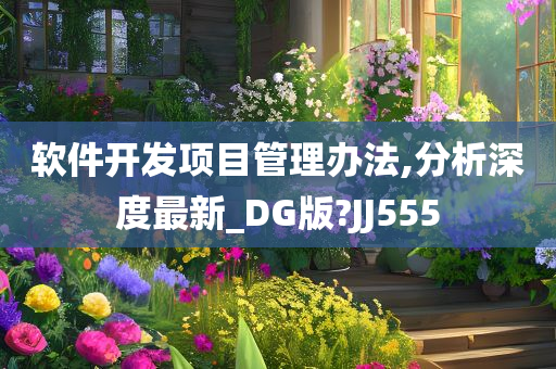 软件开发项目管理办法,分析深度最新_DG版?JJ555