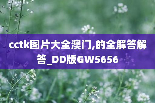 cctk图片大全澳门,的全解答解答_DD版GW5656