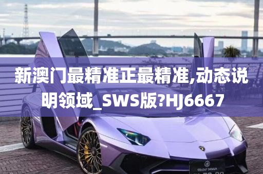 新澳门最精准正最精准,动态说明领域_SWS版?HJ6667