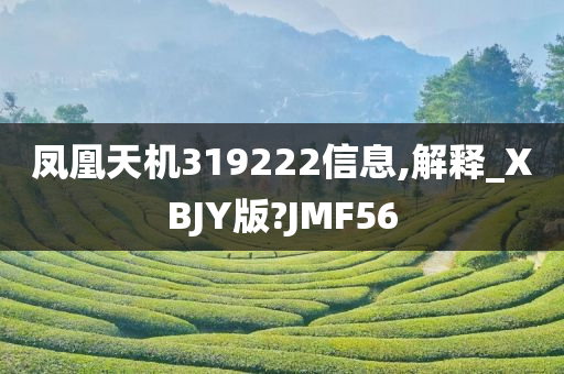 凤凰天机319222信息,解释_XBJY版?JMF56