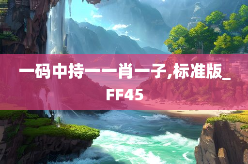 一码中持一一肖一子,标准版_FF45