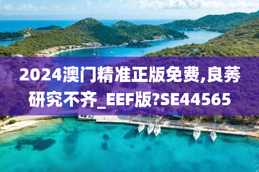 2024澳门精准正版免费,良莠研究不齐_EEF版?SE44565