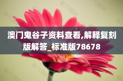 澳门鬼谷子资料查看,解释复刻版解答_标准版78678