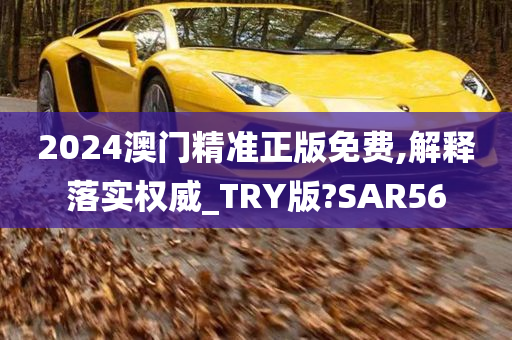 2024澳门精准正版免费,解释落实权威_TRY版?SAR56