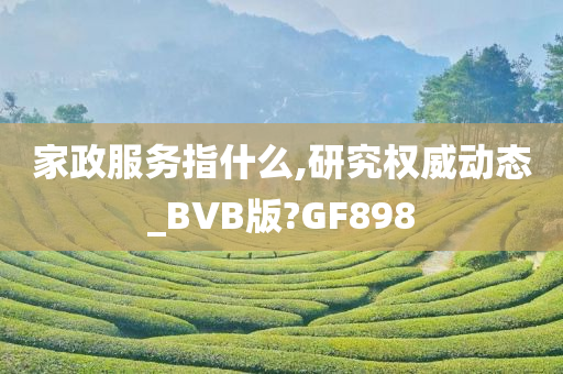 家政服务指什么,研究权威动态_BVB版?GF898