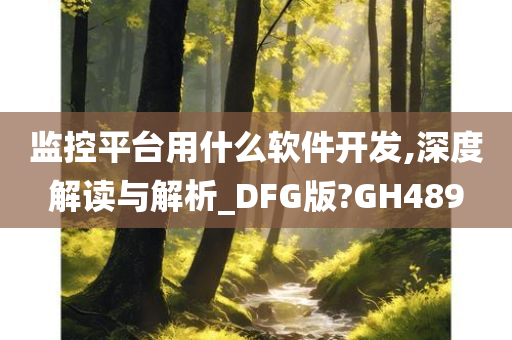 监控平台用什么软件开发,深度解读与解析_DFG版?GH489