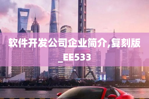 软件开发公司企业简介,复刻版_EE533