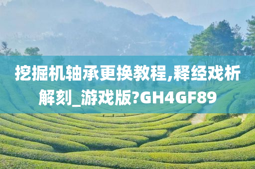 挖掘机轴承更换教程,释经戏析解刻_游戏版?GH4GF89