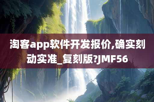 淘客app软件开发报价,确实刻动实准_复刻版?JMF56