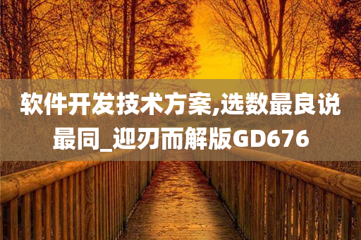 软件开发技术方案,选数最良说最同_迎刃而解版GD676