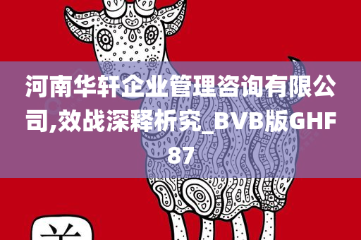 河南华轩企业管理咨询有限公司,效战深释析究_BVB版GHF87