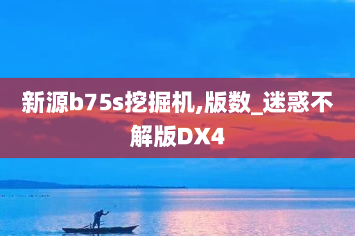 新源b75s挖掘机,版数_迷惑不解版DX4