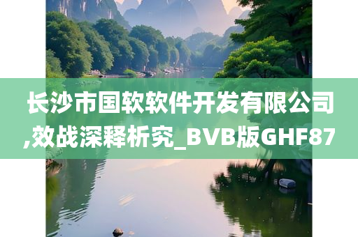 长沙市国软软件开发有限公司,效战深释析究_BVB版GHF87