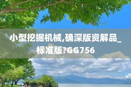 小型挖掘机械,确深版资解品_标准版?GG756