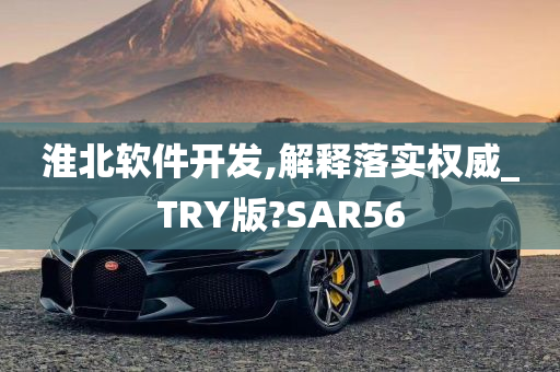 淮北软件开发,解释落实权威_TRY版?SAR56