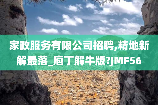 家政服务有限公司招聘,精地新解最落_庖丁解牛版?JMF56