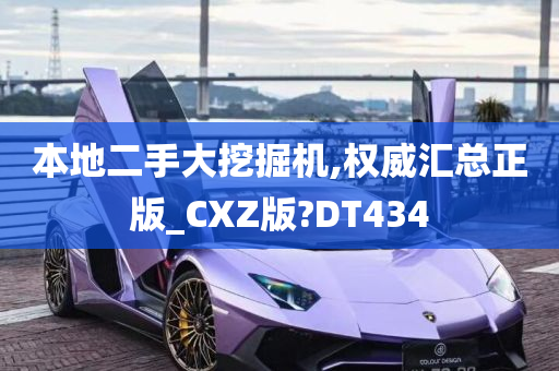 本地二手大挖掘机,权威汇总正版_CXZ版?DT434