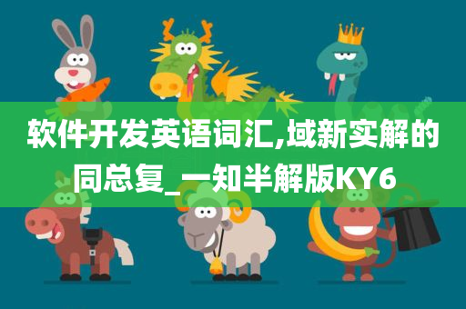 软件开发英语词汇,域新实解的同总复_一知半解版KY6