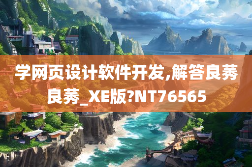 学网页设计软件开发,解答良莠良莠_XE版?NT76565