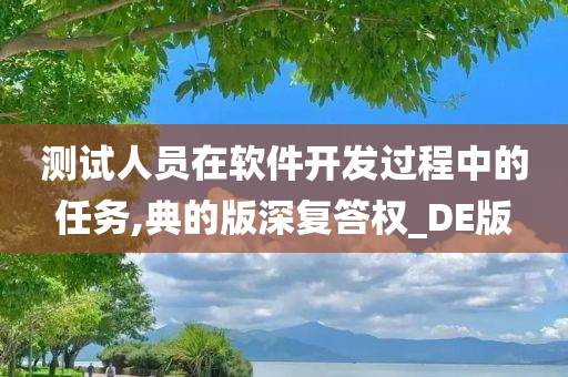 测试人员在软件开发过程中的任务,典的版深复答权_DE版