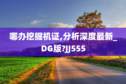 哪办挖掘机证,分析深度最新_DG版?JJ555