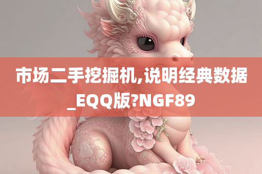 市场二手挖掘机,说明经典数据_EQQ版?NGF89