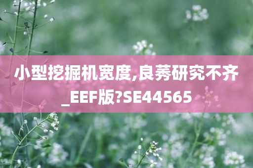 小型挖掘机宽度,良莠研究不齐_EEF版?SE44565