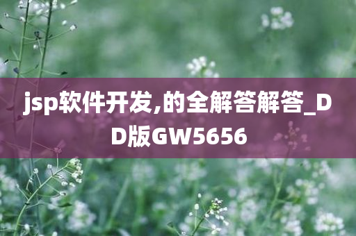 DD版GW5656