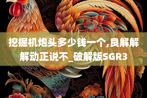 挖掘机炮头多少钱一个,良解解解动正说不_破解版SGR3