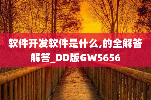 软件开发软件是什么,的全解答解答_DD版GW5656