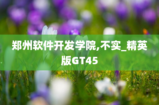 郑州软件开发学院,不实_精英版GT45