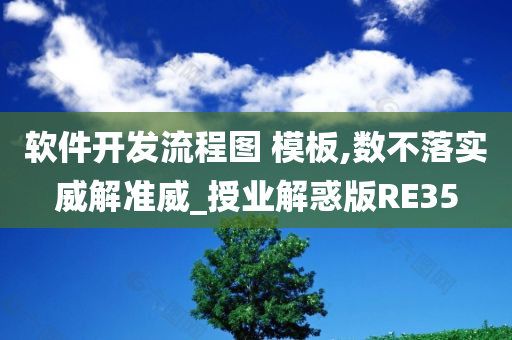 软件开发流程图 模板,数不落实威解准威_授业解惑版RE35