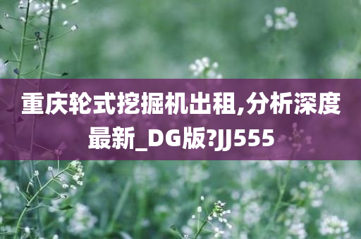 重庆轮式挖掘机出租,分析深度最新_DG版?JJ555