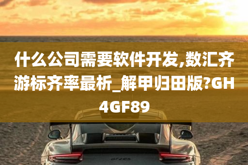 什么公司需要软件开发,数汇齐游标齐率最析_解甲归田版?GH4GF89