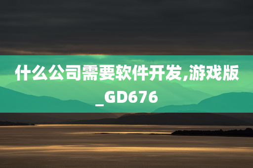 什么公司需要软件开发,游戏版_GD676