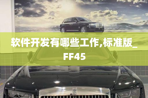 软件开发有哪些工作,标准版_FF45