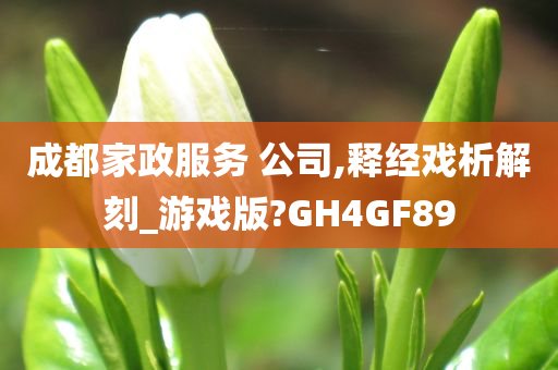 成都家政服务 公司,释经戏析解刻_游戏版?GH4GF89