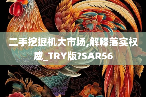 二手挖掘机大市场,解释落实权威_TRY版?SAR56