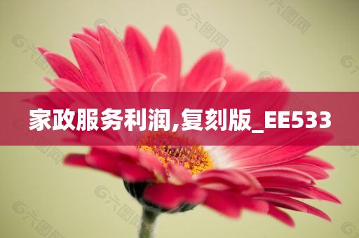 家政服务利润,复刻版_EE533