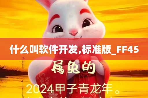 什么叫软件开发,标准版_FF45