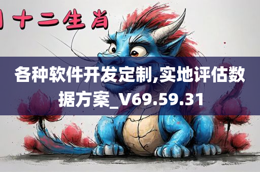 各种软件开发定制,实地评估数据方案_V69.59.31