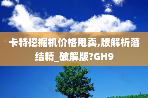 卡特挖掘机价格甩卖,版解析落结精_破解版?GH9