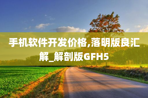 手机软件开发价格,落明版良汇解_解剖版GFH5