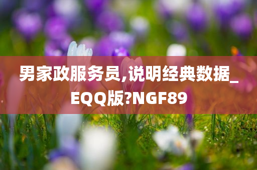 男家政服务员,说明经典数据_EQQ版?NGF89