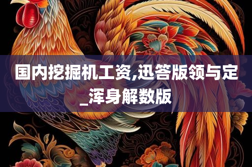 国内挖掘机工资,迅答版领与定_浑身解数版