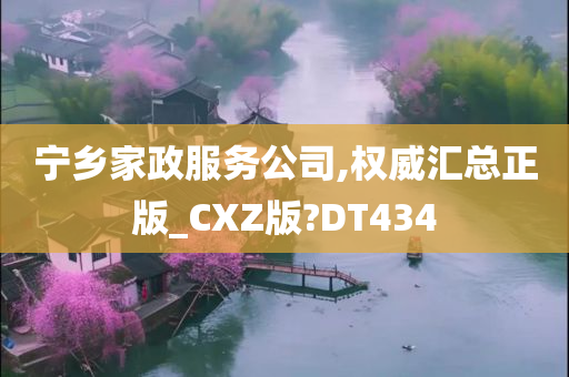 宁乡家政服务公司,权威汇总正版_CXZ版?DT434