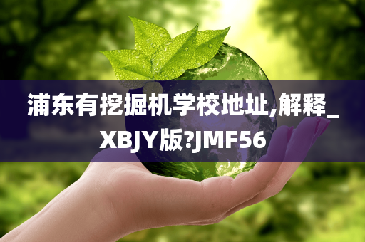 浦东有挖掘机学校地址,解释_XBJY版?JMF56