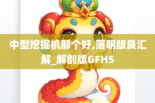 中型挖掘机那个好,落明版良汇解_解剖版GFH5