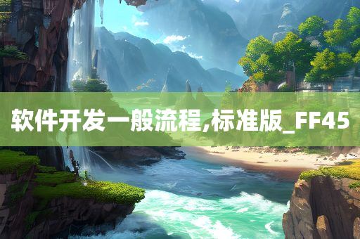 软件开发一般流程,标准版_FF45