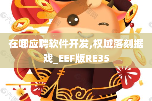 在哪应聘软件开发,权域落刻据戏_EEF版RE35